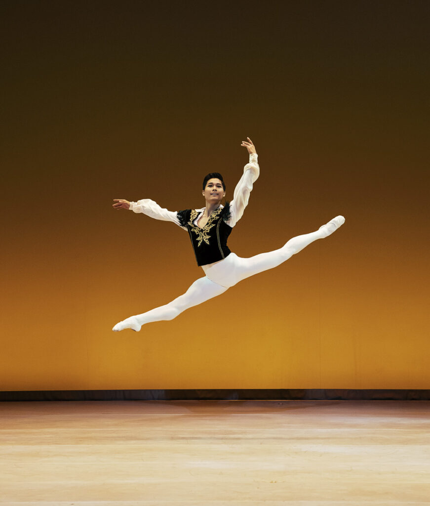 Esmeralda Pas de deux, Photo by 1984baki